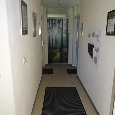 Apartment 5-sterne-fewo 
